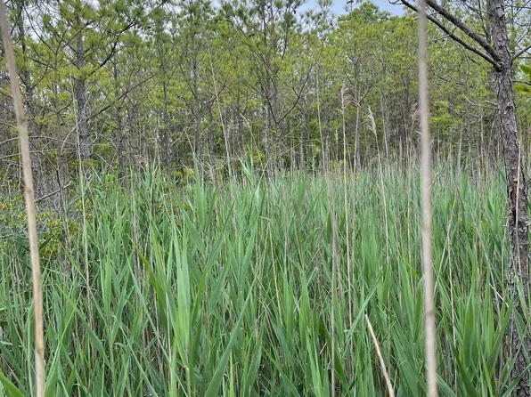 0 Lawsonia Rd Parcel 1414, Crisfield, MD 21817