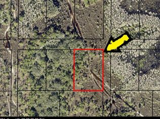 None Unknown, Grant, FL 32949