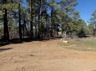 143 Hakala Court, Pagosa Springs, CO 81147