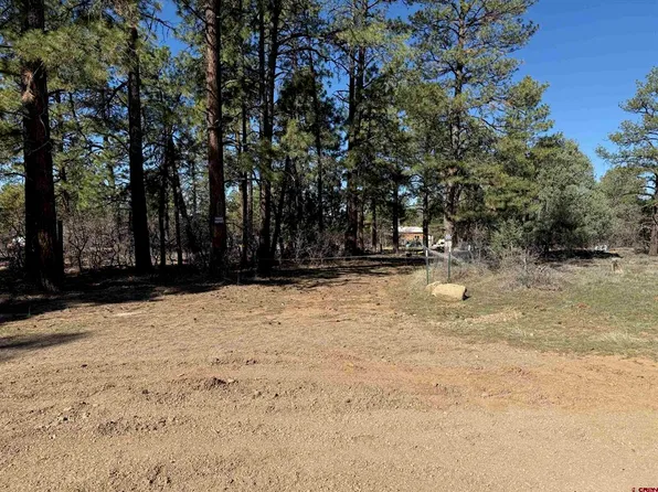 143 Hakala Court, Pagosa Springs, CO 81147