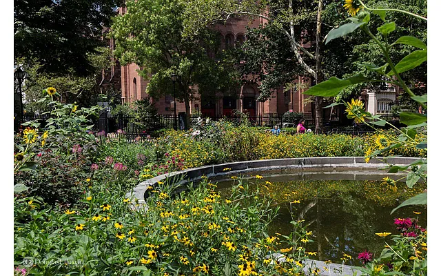 Sold by Douglas Elliman | media 7