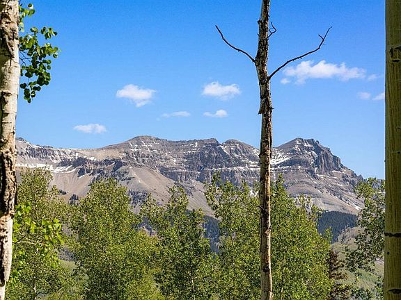 3rd image of TBD Wapiti 37