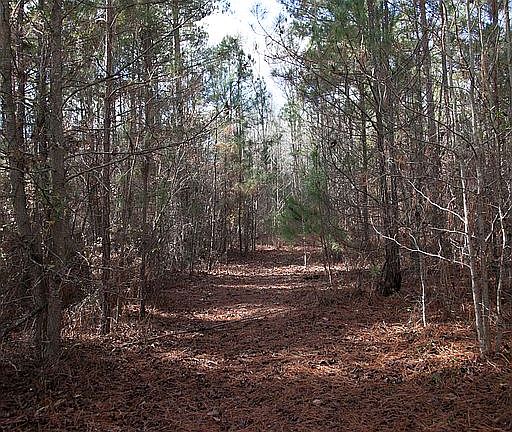 Paths on Property