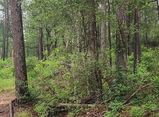 LOT 33 Gum Tree Ln LOT 33, Plantersville, TX 77363