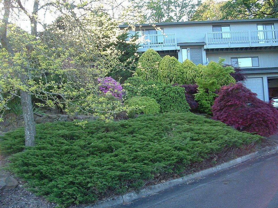 view of front yard from street