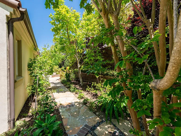 Side yard.