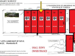 13 E Washington St, Monticello, FL 32344