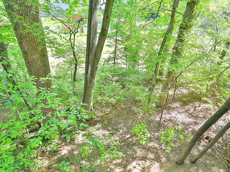 15979 Cove Ln — Photo 23