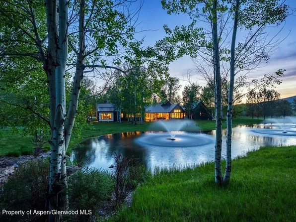 14 Silver Spruce Dr, Carbondale, CO 81623