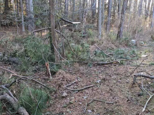 1159 Aft Ct, Greenbackville, VA 23356