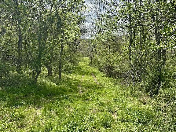 4th image of Price Hollow Rd