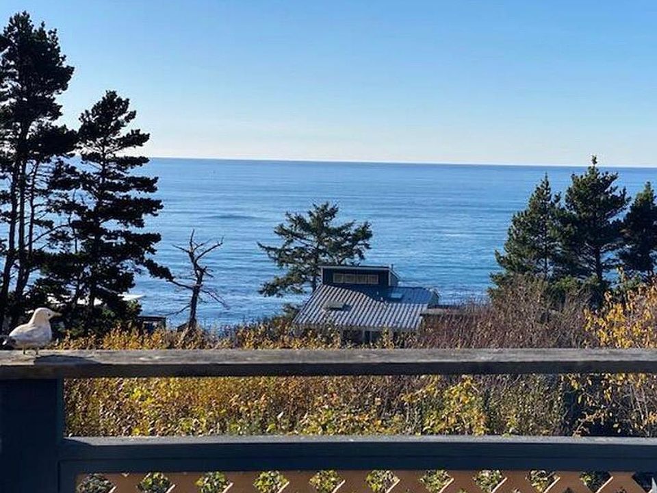Do you see the whales?