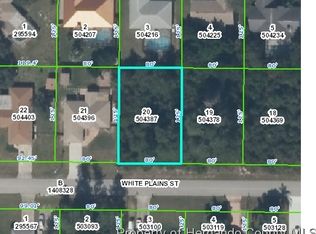 LOT 20 White Plains St, Spring Hill, FL 34609
