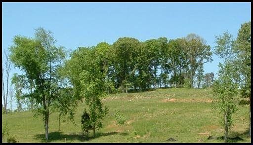 1st image of 12 Scenic Lakeview Dr