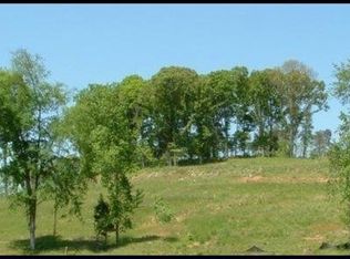 12 Scenic Lakeview Dr, Spring City, TN 37381