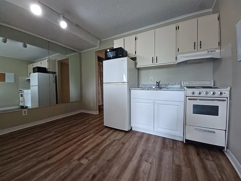 1700 Clinch Ave #207 — Photo 4