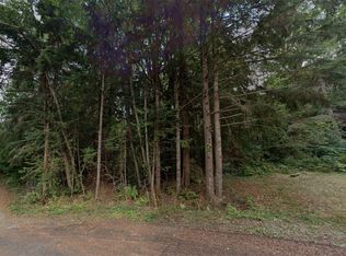 46 Mountain Trail Court, Brinnon, WA 98320