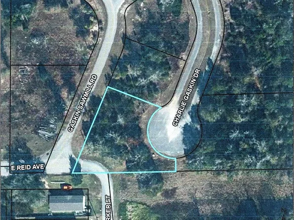 35 Charlie Gaskin Dr, Wewahitchka, FL 32465