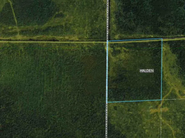 Hedbom Forest Rd, Floodwood, MN 55736