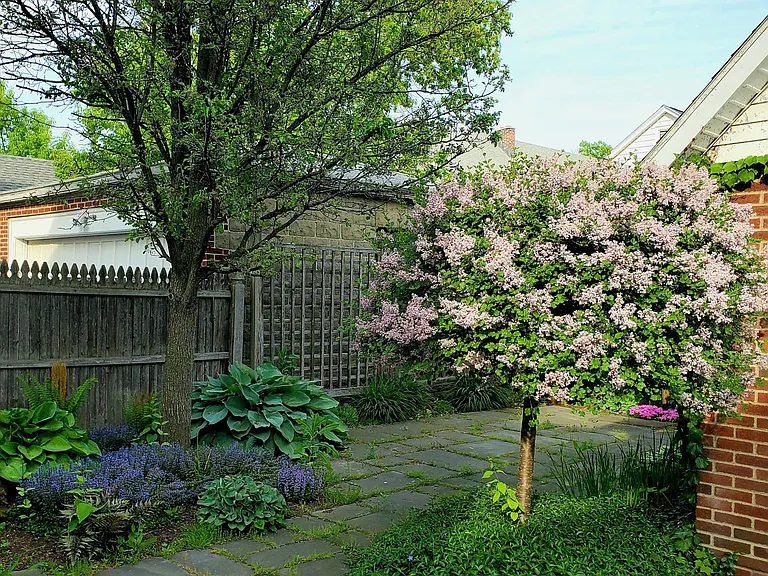 87 Homestead Ave #2 — Photo 5