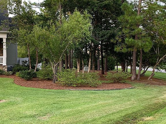 4th image of 4423 Wildrye Dr