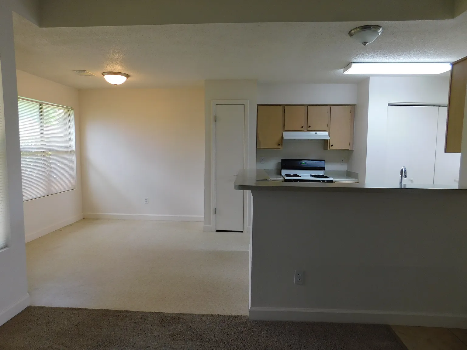 40 Callan Ct — Photo 3