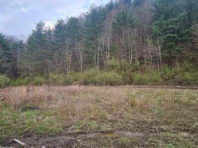 Upper Mill Branch Rd, Grundy, VA, 24614