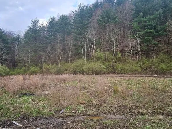 Upper Mill Branch Rd, Grundy, VA 24614