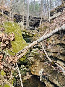 10 Campbell Ln, Melbourne, AR, 72556