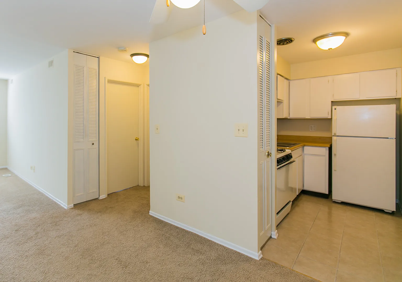 Lincoln Park Living! — Photo 3