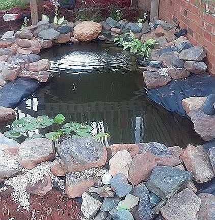 Garden pond