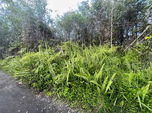 16-1143 Pulelehua Rd Lot 6066, Kurtistown, HI 96760