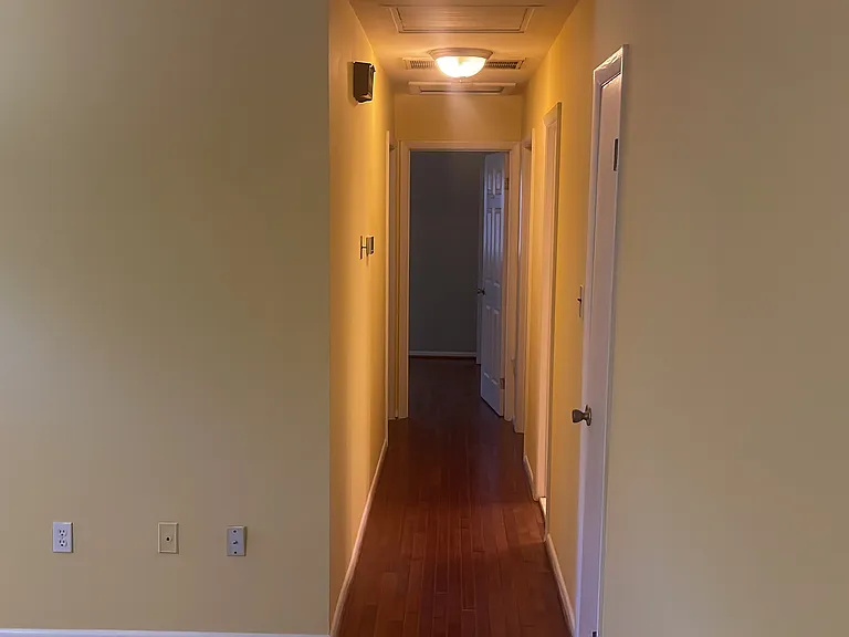 4311 Hendricks Dr — Photo 3