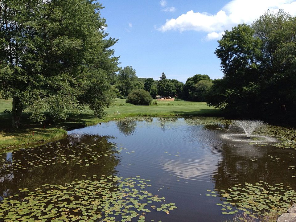 Pond view