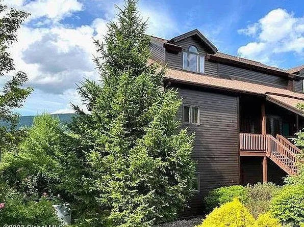 73 Liftside Drive #B, Hunter, NY 12442