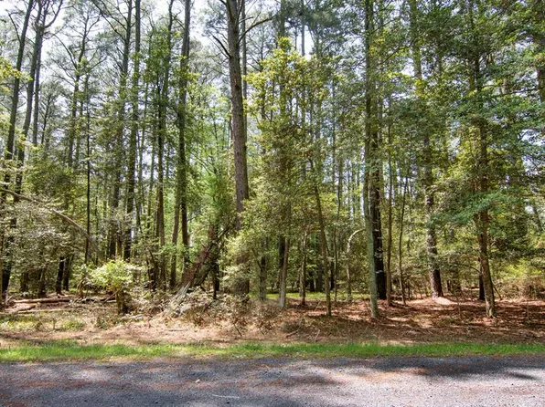 LOT 537 Skipper Ct, Greenbackville, VA 23356