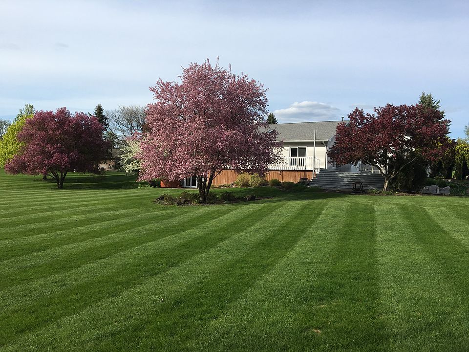 View from Back