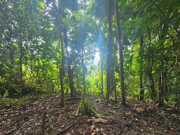 State Highway 970, Naguabo, PR 00718