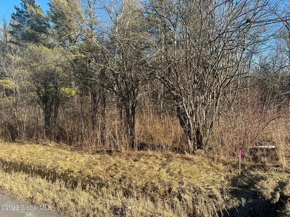 Lot 6 Snake Hill Road, Glenville, NY 12302