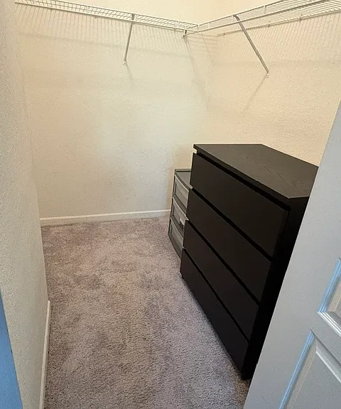 17104 Carrington Park Dr #523 — Photo 3