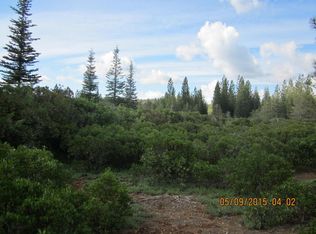 Spring Rain Rd, Shingletown, CA 96088