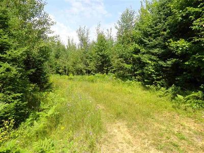 64 Acres M95, Republic, MI, 49879