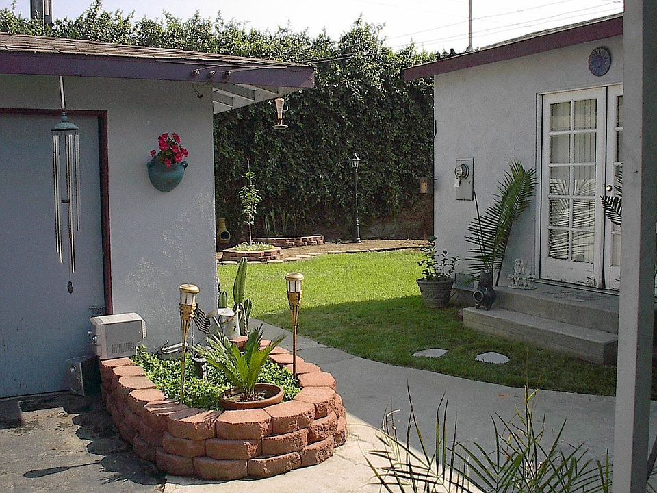 Back yard