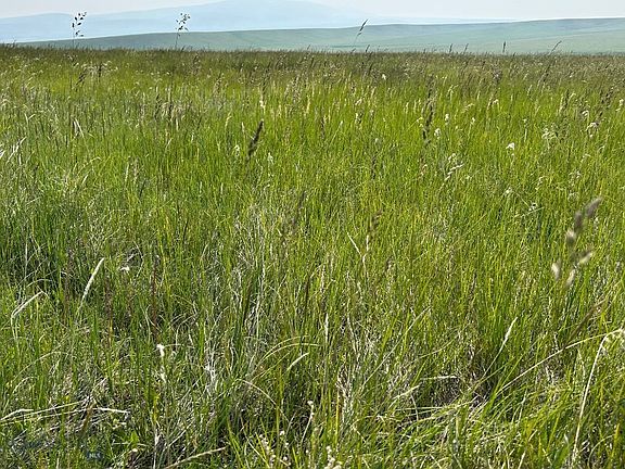 4th image of Ubet Rd