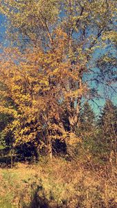 Lt0 LAKE VIEW ROAD, West Bend, WI, 53090