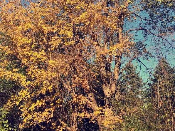 Lt0 LAKE VIEW ROAD, West Bend, WI 53090