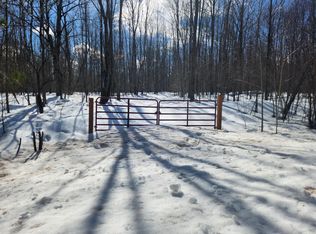 S Paynesville Rd, Bruce Crossing, MI 49912