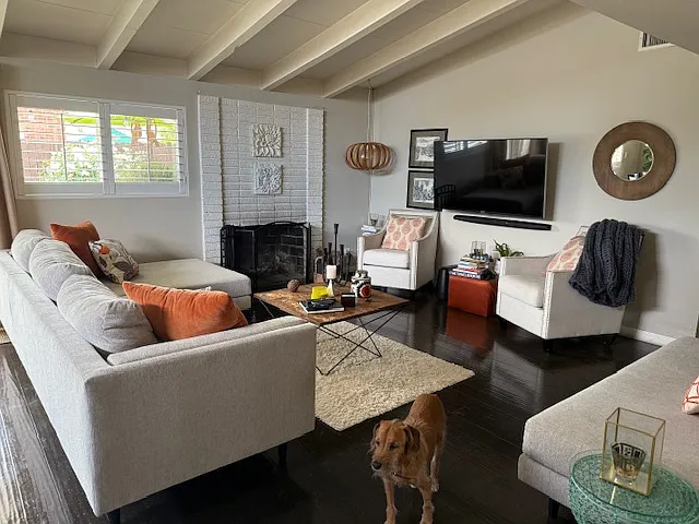 Living Room with dog, Coltrane