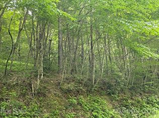 0 Cornelious Ashe Rd, Whittier, NC 28789