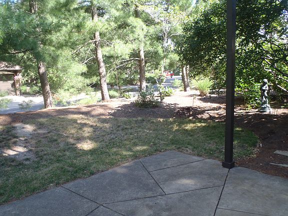 rear view from patio